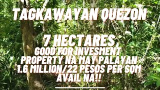 VLOG 99 TAGKAWAYAN QUEZON 7 HECTARES NA PROPERTY MAY KASAMANG PALAYAN  22 PESOS PER SQM AVAIL NA [upl. by Aileve211]