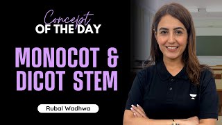 Monocot and Dicot Stem  Concept of the day  NEET 2023  NEET Biology  Rubal Wadhwa [upl. by Formenti791]