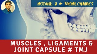 MUSCLES LIGAMENTS amp JOINT CAPSULE Temporomandibular Joint Biomechanics [upl. by Apurk]