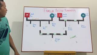 Familiograma de una familia nuclear monoparental [upl. by Eerac]