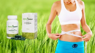 Green Barley Plus Review  The Best Natural Fat Metabolism Booster [upl. by Niawd765]