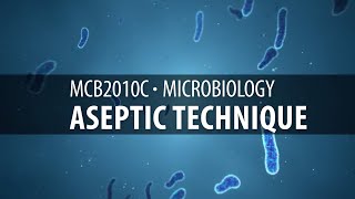 MCB2010C Lab Aseptic Technique [upl. by Nomelc]