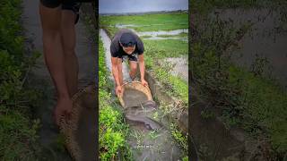 Fishing challenge with Aditi 10000 if won 🐟🐟fishing trending shorts [upl. by Onivag]