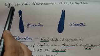 Types of Chromosome In HINDI For CSIR NET and NEET [upl. by Rivard]