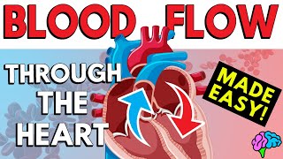 Blood Flow Through the Heart Made Easy in 5 Minutes [upl. by Alrats]