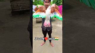 Indian flag painting on pigeon 🇮🇳 art  independence day pigeon art  Happy independence Day [upl. by Nosreve]