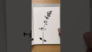 Catmint Ink Printing Process botanicalprint [upl. by Strain]