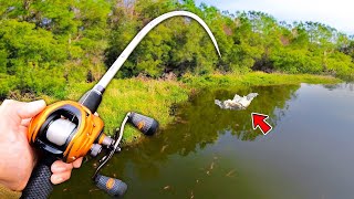 Fishing Challenge w NO BUDGET Winner Takes ALL [upl. by On]