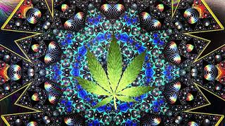 Psytrance Experience  Cannabis Control 👽 Space Hemp  THC mix 2023 [upl. by Keenan711]