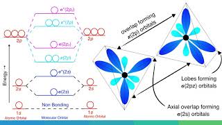 Molecular Orbital Diagram of B2 C2 and N2 Molecules [upl. by Sheline]