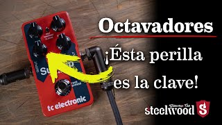 ¿Cómo usar un octavador  TC Electronic Sub N Up [upl. by Tabby]