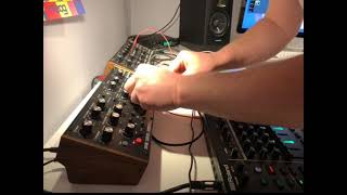 Live Moog Mother 32 DFAM и Roland TR8S [upl. by Aleusnoc]