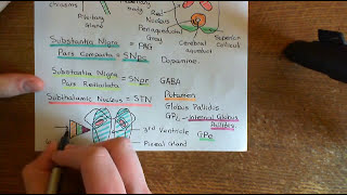 Parkinsons Disease and Antiparkinson Drugs Part 6 [upl. by Colvert]