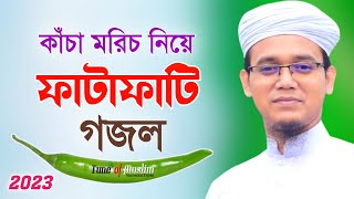 কাঁচা মরিচ নিয়ে ফাটাফাটি গজল Kacha Morich  Kalarab Ghazal  Kolorob Gojol  Ghazal  Islamic Song [upl. by Chrissie]