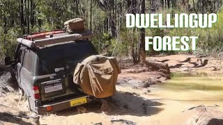 Solo Adventure  4WD Through the Jarrah Forest  Dwellingup Western Australia [upl. by Ramraj911]