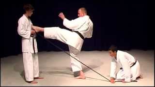 Mae Geri Front Kick Shotokan Karate Exercise [upl. by Darya]