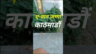 Land sale in Kathmandu 35ana 13fit road shorts [upl. by Netsyrc]