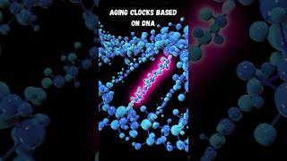 Beyond Birthdays Accurate Aging with Epigenetic Clocks [upl. by Yortal]