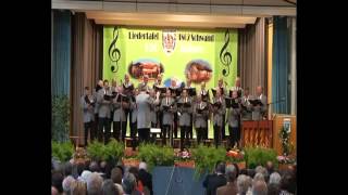 Donauwalzer gesungen vom Chor Liedertafel Schwand 1862 eV 2012 [upl. by Ahsatam482]