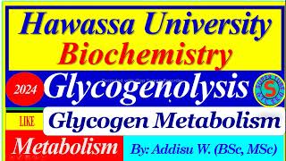 Glycogenolysis Glycogen Breakdown  Metabolism metabolism biochemistry glycogenesis glycolysis [upl. by Elletnohs774]