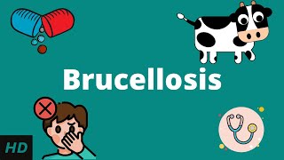 Brucellosis in cattle  sheep  goat [upl. by Cida]