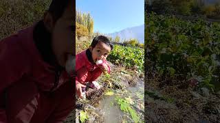 Shahsawar Shirazi  cute baby  Nature video [upl. by Meave]