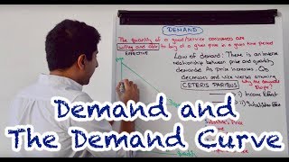 Y1 3 Demand and the Demand Curve [upl. by Seleta600]