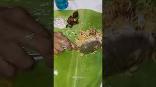 Biriyani food nishasasikumar biriyani [upl. by Baryram]