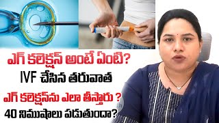 IVF  ఎగ్ కలెక్షన్ అంటే ఏంటి IVF చేసిన తరువాత ఎగ్ కలెక్షన్ ను ఎలా తీస్తారు  40 నిముషాలు పడుతుందా [upl. by Anahsar]