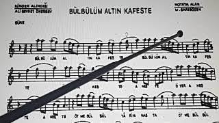 BÜLBÜLÜM ALTIN KAFESTE SOLFEJ [upl. by Seiter179]