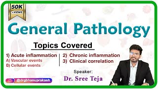 Acute inflammation  Vascular and cellular events  Chronic inflammation Part 1 General Pathology [upl. by Annyl288]