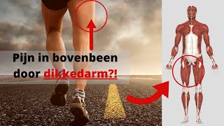 Pijn in bovenbeen oplost door één osteopatische techniek Probeer het zelf [upl. by Marte870]