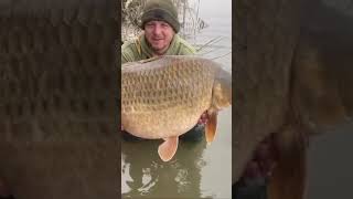 PB58lb fishing carpe carpfish frenchcarp francecarpfishing carps carp carpangling carping [upl. by Akinhoj]