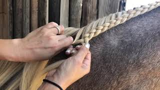 Running French Braid on Horse [upl. by Hnoj]