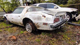 1975 Pontiac Trans Am Junkyard Find [upl. by Bil]