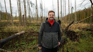 Zukunftswald Südwestfalen Innovative Lösungen für Klimaschutz und Waldvielfalt [upl. by Fortunio293]