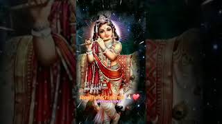 Vrindavan Mai Hukum Chale Varsane Wali Ka Radhe radheradheradhe [upl. by Drof]