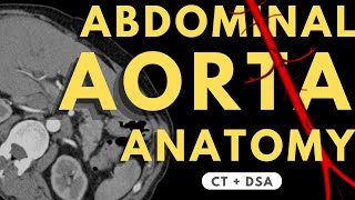 Abdominal Aorta and Branches  Radiology anatomy part 1 prep  How to read CTA  DSA [upl. by Isabella176]