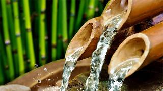 BAMBOO WATER FOUNTAIN  Relax amp Get Your Zen On  White Noise [upl. by Nortal]