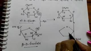 Disachharides Sucrose Maltose and Lactose Chemistry [upl. by Polak192]