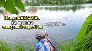 RAKSASA Nila terbesar di alam liar bikin pemancing berasa diseret ikan [upl. by Manon]