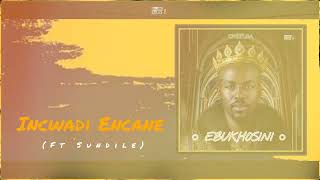 Chiefsa  Incwadi Encane ft Sundile Ebukhosini Album Visualizer [upl. by Eiro]