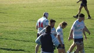 Lions v Narrabri reserve grade tries today [upl. by Esiouqrut288]