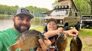 Bluegill Catch and Cook Camping in the Beast Van [upl. by Daisy479]