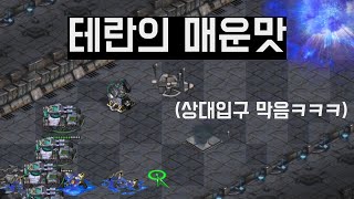 4드론과 테란의 매운맛 【빨무 테란 스타크래프트】 [upl. by Otsirc]