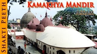 Shakti Peeth  Kamakhya Mandir  Assam  Indian Temple Tours [upl. by Haggai]