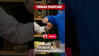 Tırnak Mantarı Nasıl Geçer ❓🖐🦶 ibrahimsaraçoğlu faydatv şifalıbitkiler tırnakmantarı [upl. by Anelaf]