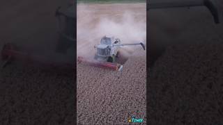 Claas Tucano 450 harvest farming [upl. by Lytsyrk]