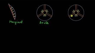 Placentation  Morphology of flowering plants  Biology  Khan Academy [upl. by Matilda252]