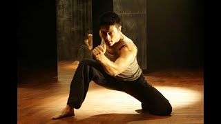 The Top 20 Martial Art Fight Scenes Part 1 [upl. by Flo]